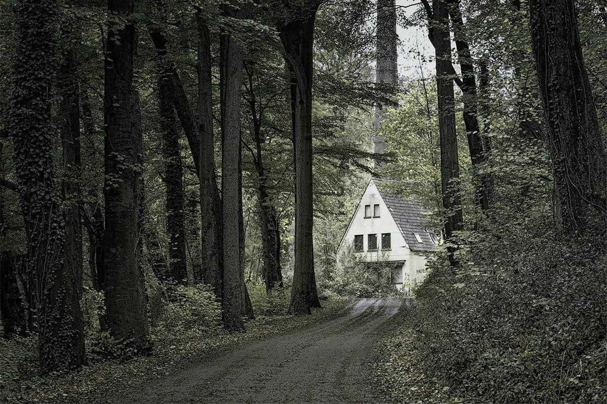 little house at the end of a driveway surrounded by tall green trees
