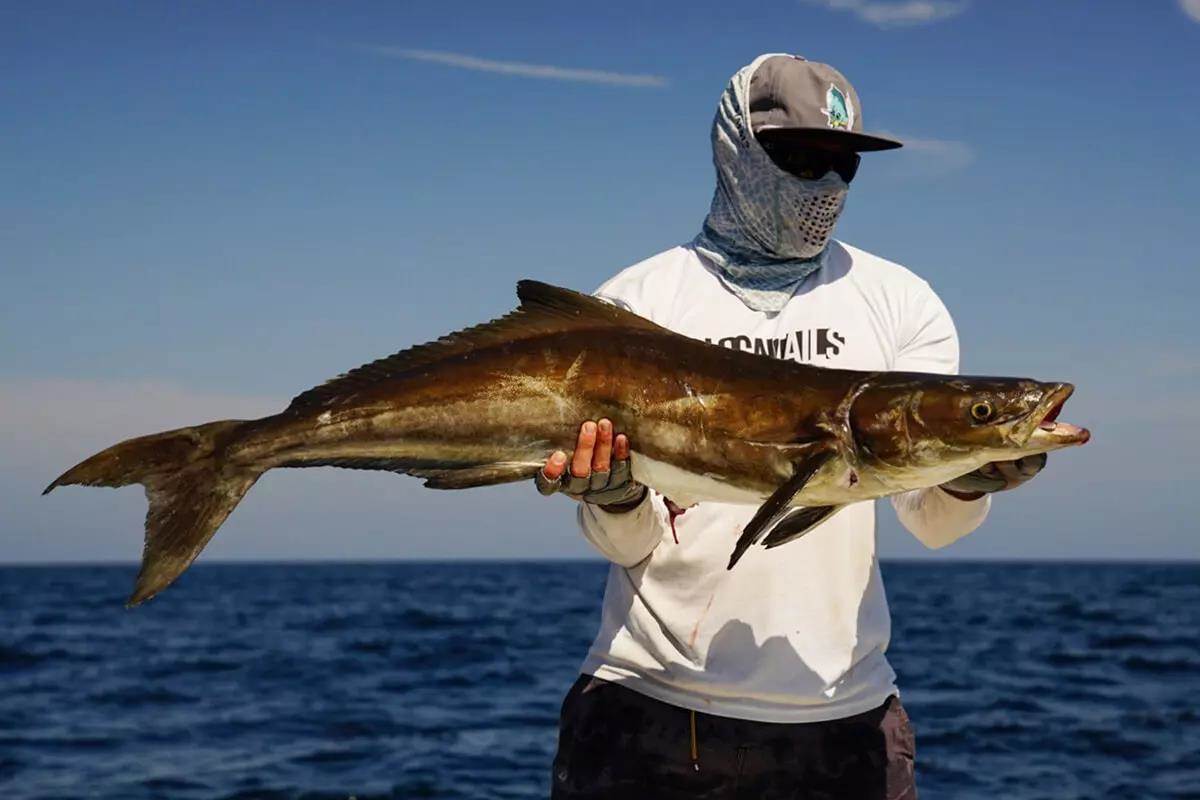 Saltwater Angler Long Bill Mahi Cap