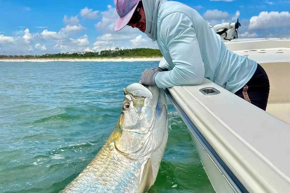 Fisheries story: Fishing techniques - Trolling