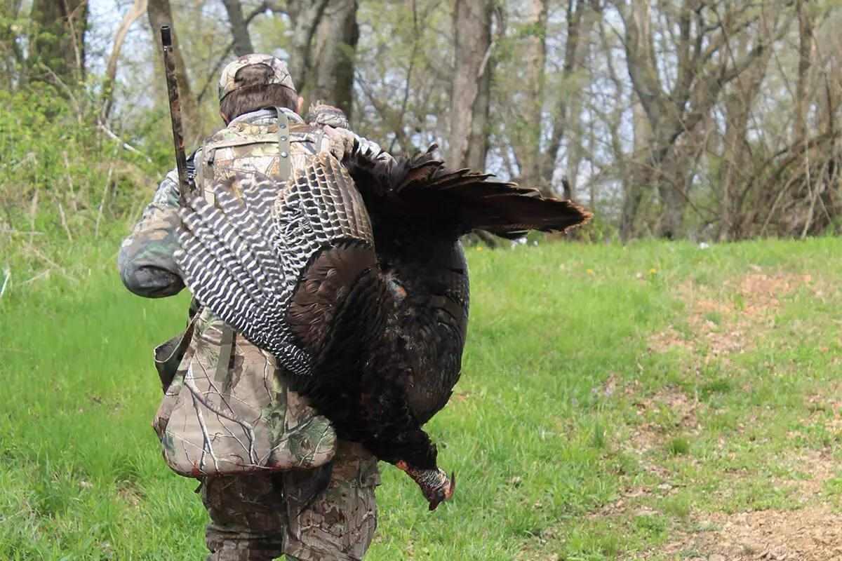 hunter success