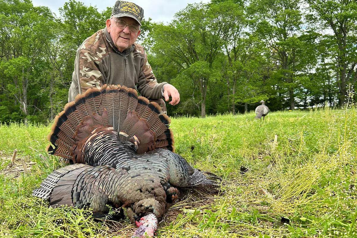 turkey on ground