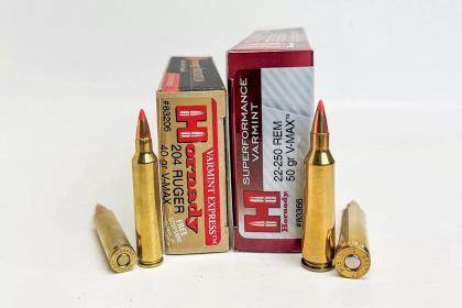The Ballistician: .416 Remington Magnum - Shooting Times