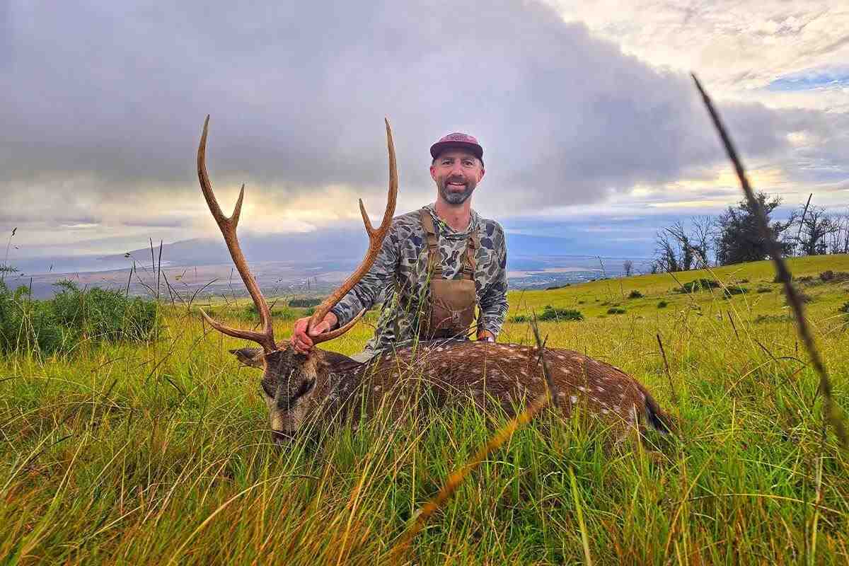 hunter with axis deer