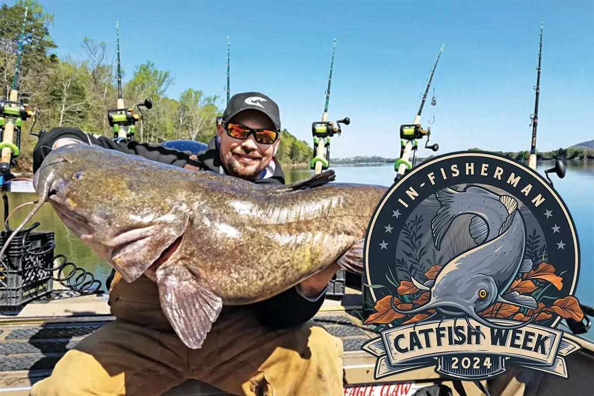 Catfish Week: Remarkable Round Reels for Catfish