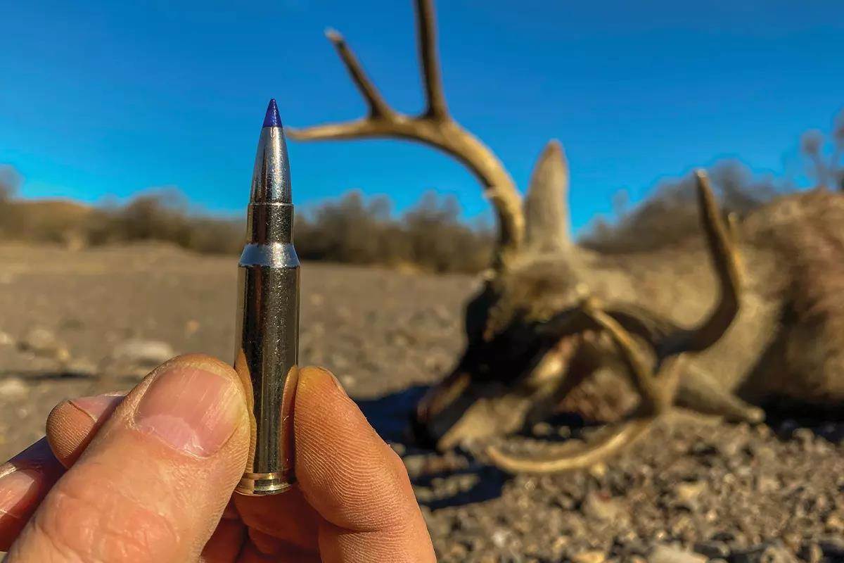 Why the .308 Win. is an All-Star Hunting Cartridge