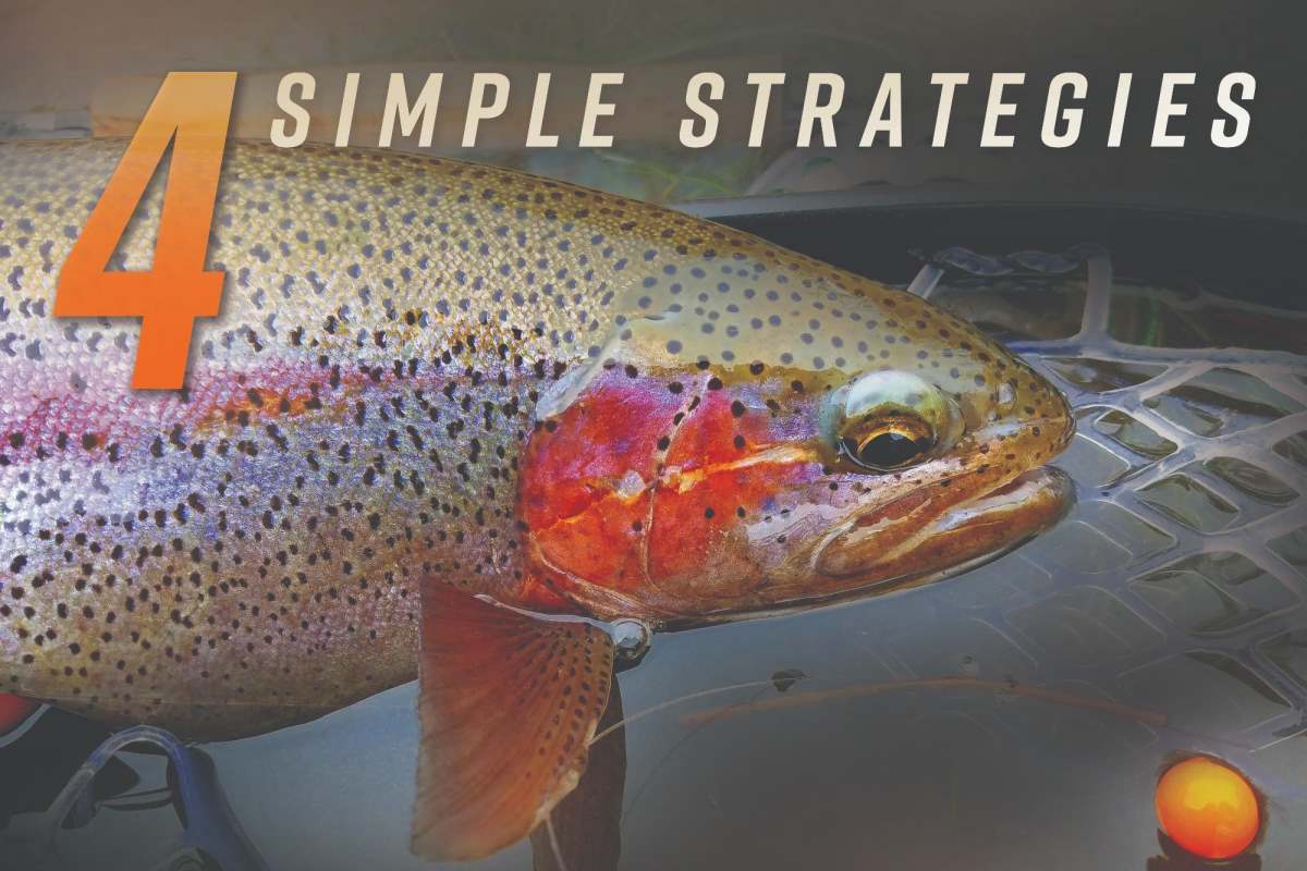 4 Simple Fly Fishing Strategies