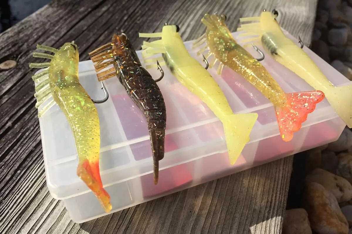 5 Best Lures & Rigs for Seatrout Through the Seasons - Florida Sportsman