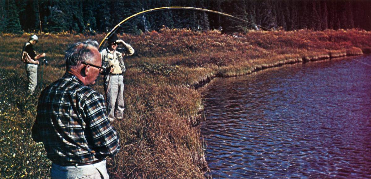 Fishing Accessories Under $100  Throwback! When it comes to