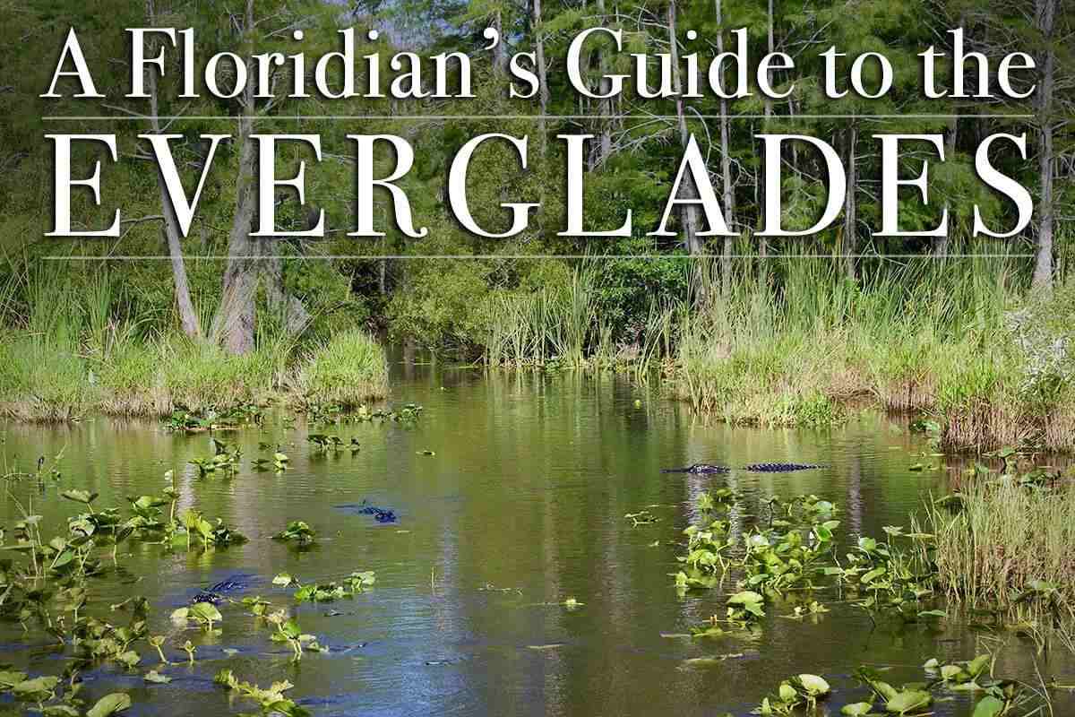 6 Best Things To Do in the Everglades National Park