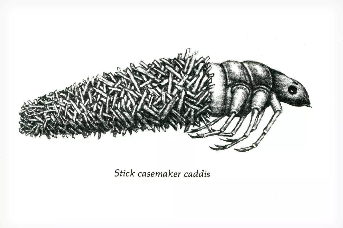 Fly Fisherman Throwback: A Case for Caddis
