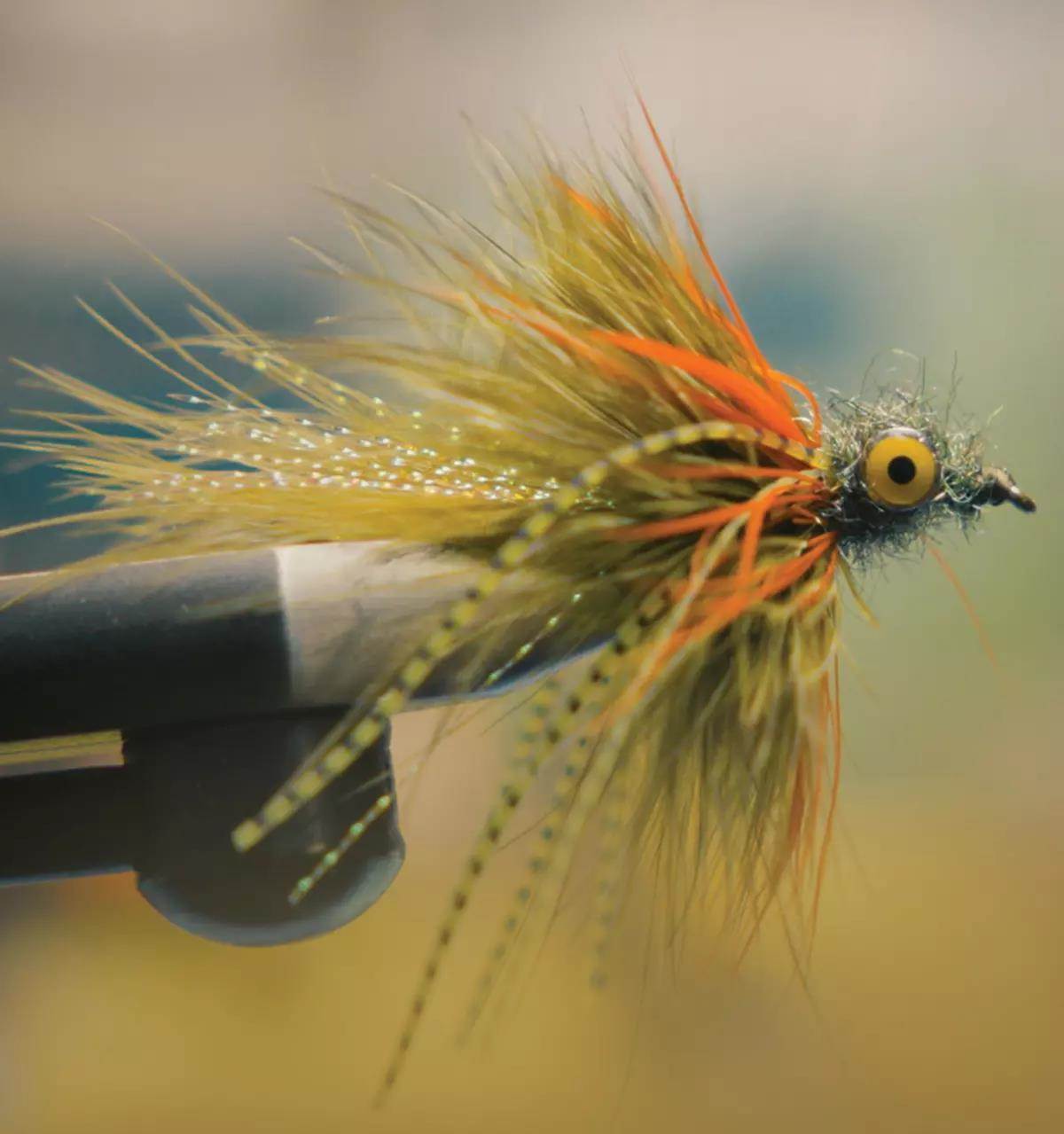 A Classic Reimagined: Why the Woolly Bugger Still Catches Fi - Fly ...