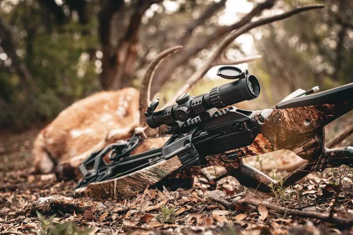 crossbow sitting in front of downed Texas axis deer