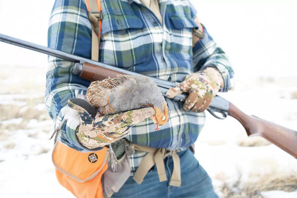 A hunter holds a shotgun in one hand and a Hungarian partridge in the other.