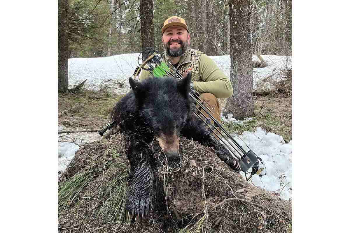 Wyoming black bear with bowhunter in 2023