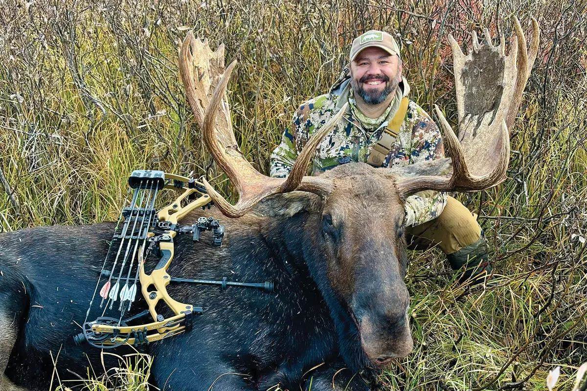 downed bull moose in Wyoming in 2024