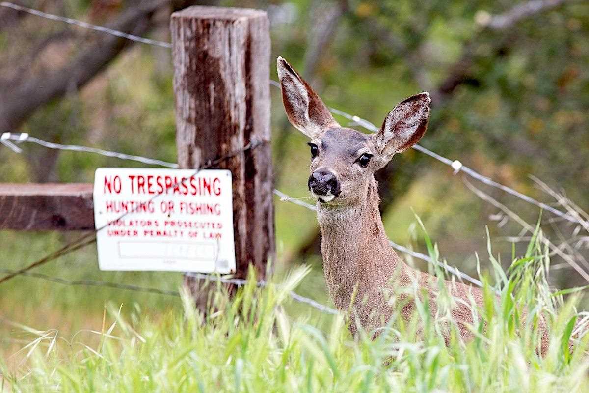 Conservation: Accessing Private Hunting Land