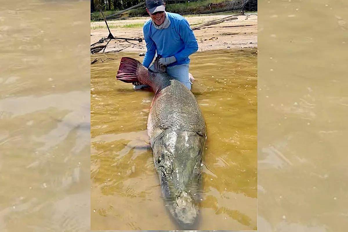 With World-Record Catch, Texas Guide Champions Catch and Release for Alligator Gar