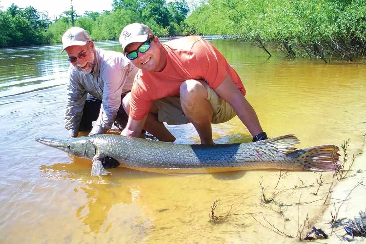 Tag, You're It: Tracking Alligator Gar in the Panhandle - Florida Sportsman