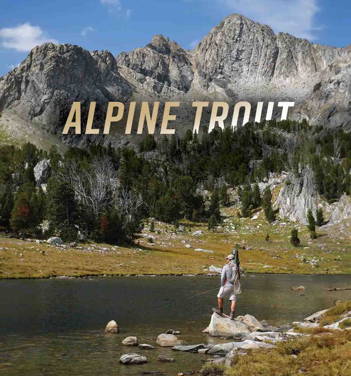 Alpine Trout 101: Flies, Food, and Finding Fish at Treeline - Fly