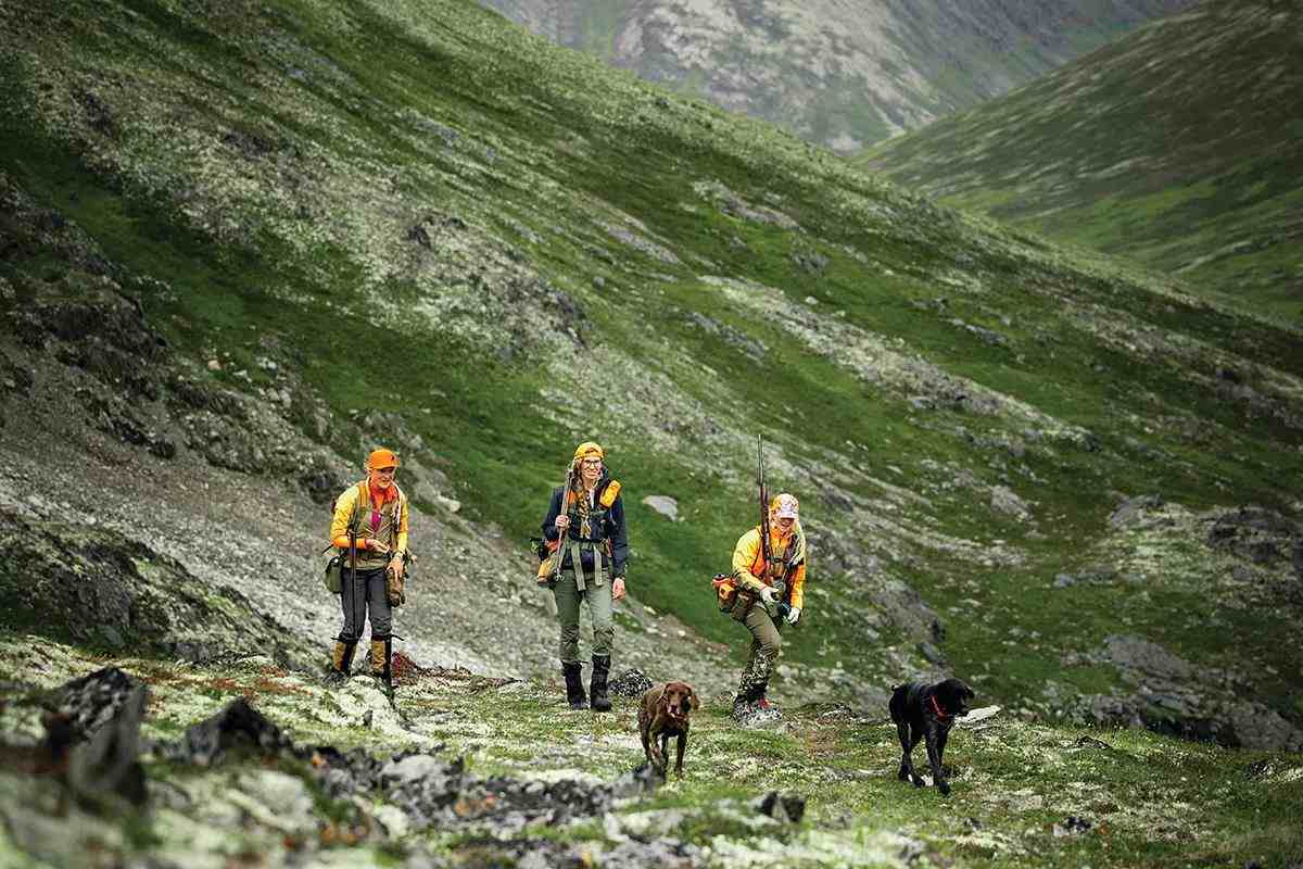 Browning's All-New Citori 825 Field - Gun Dog