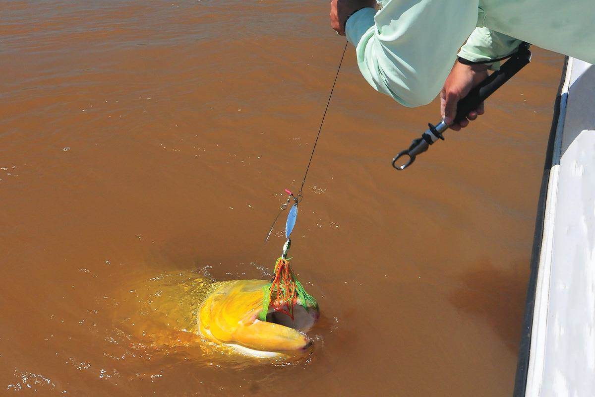 Strike South American Gold with Tackle-Busting Dorado - Game & Fish