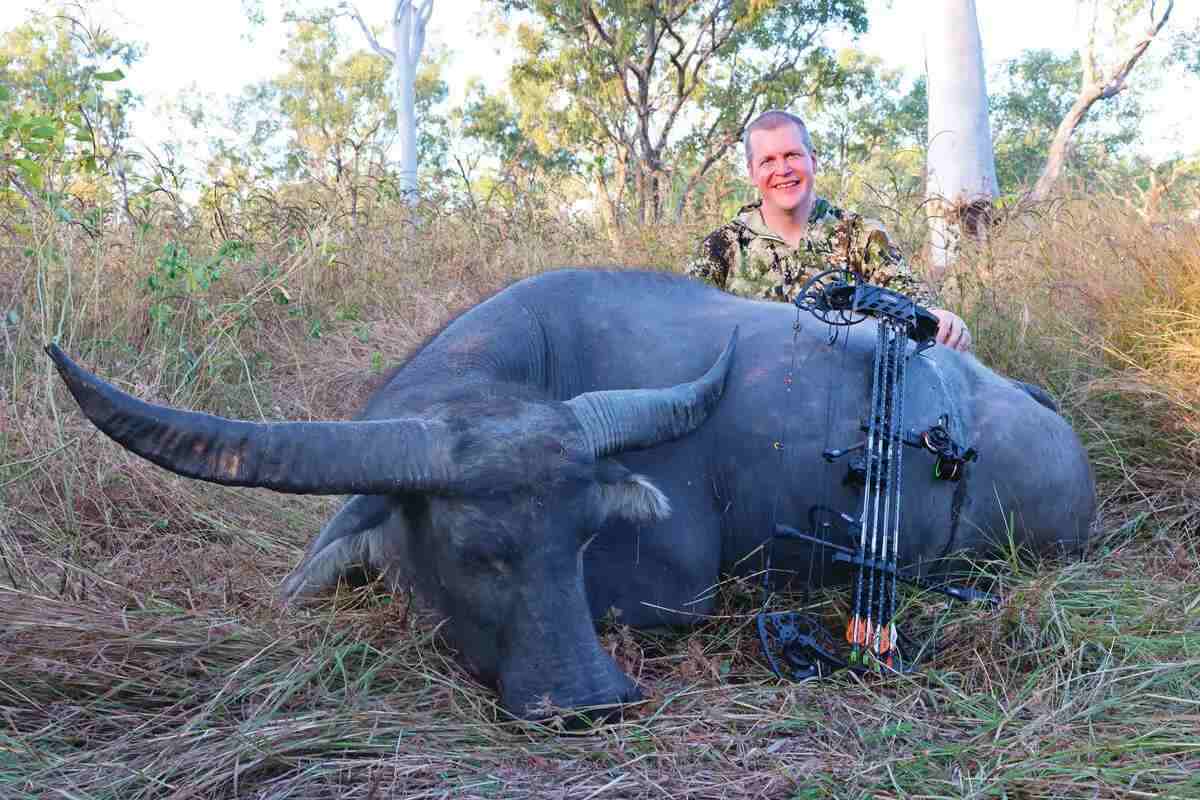 bowhunter in Australia with downed water buffalo cow