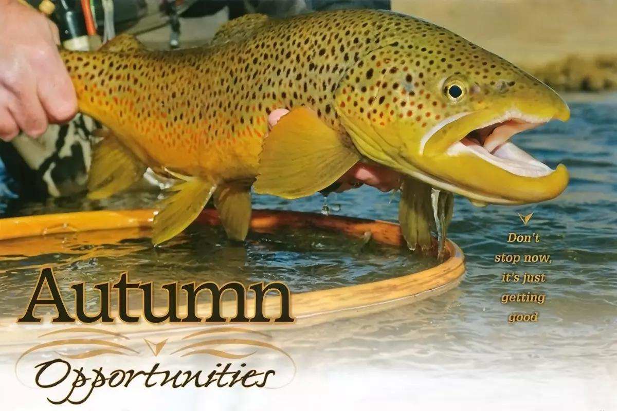 Autumn Opportunities: Don't Stop Fishing Now, It's Just Gett - Fly Fisherman