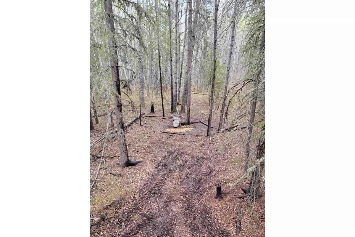 Alberta black bear bait setup