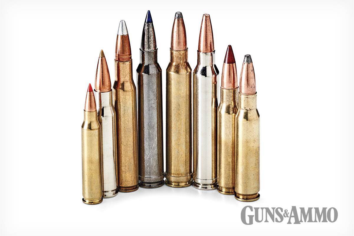 Ballistics for Hunters: Understanding your Hunting Cartridges