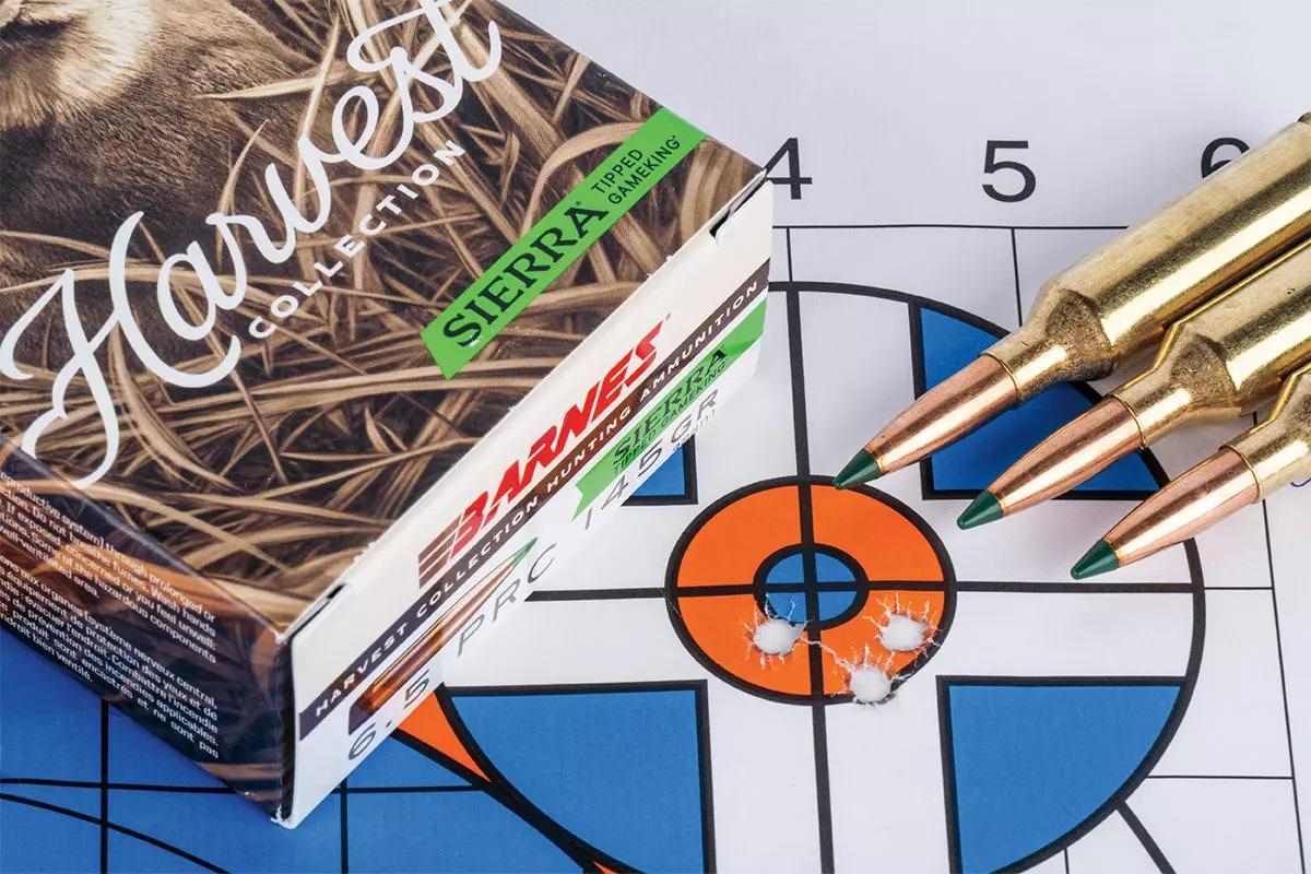 Target with group and ammo