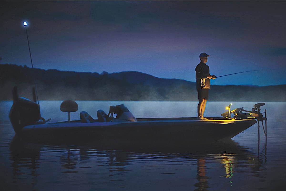 Bring on the Night and Catch Bass After Dark - Game & Fish