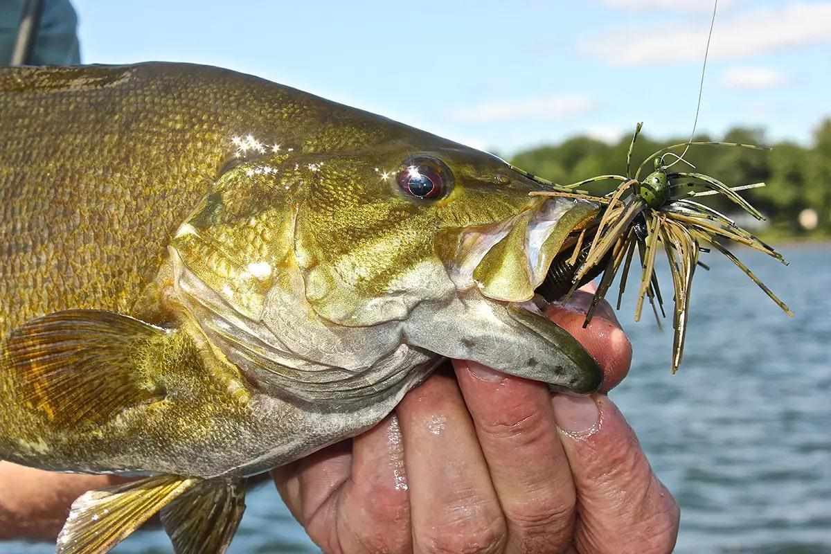 aggravator double blade fishing lure Savage Gear Savage Blade Double