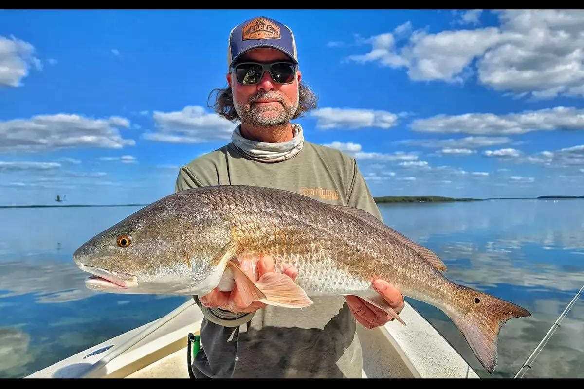amazon sea fishing lures Amazon Best Sellers: Best Fishing Lures