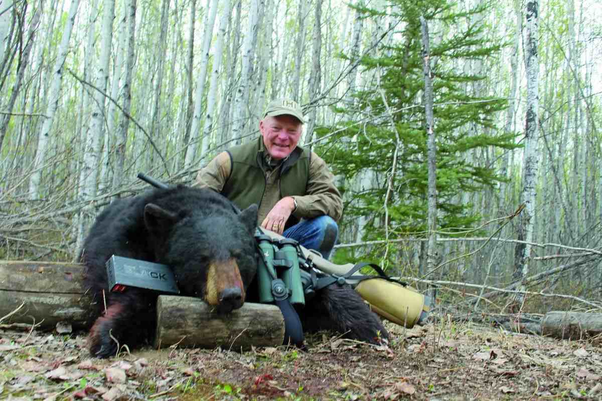 Bear Prepared: Which Cartridges Are Best?