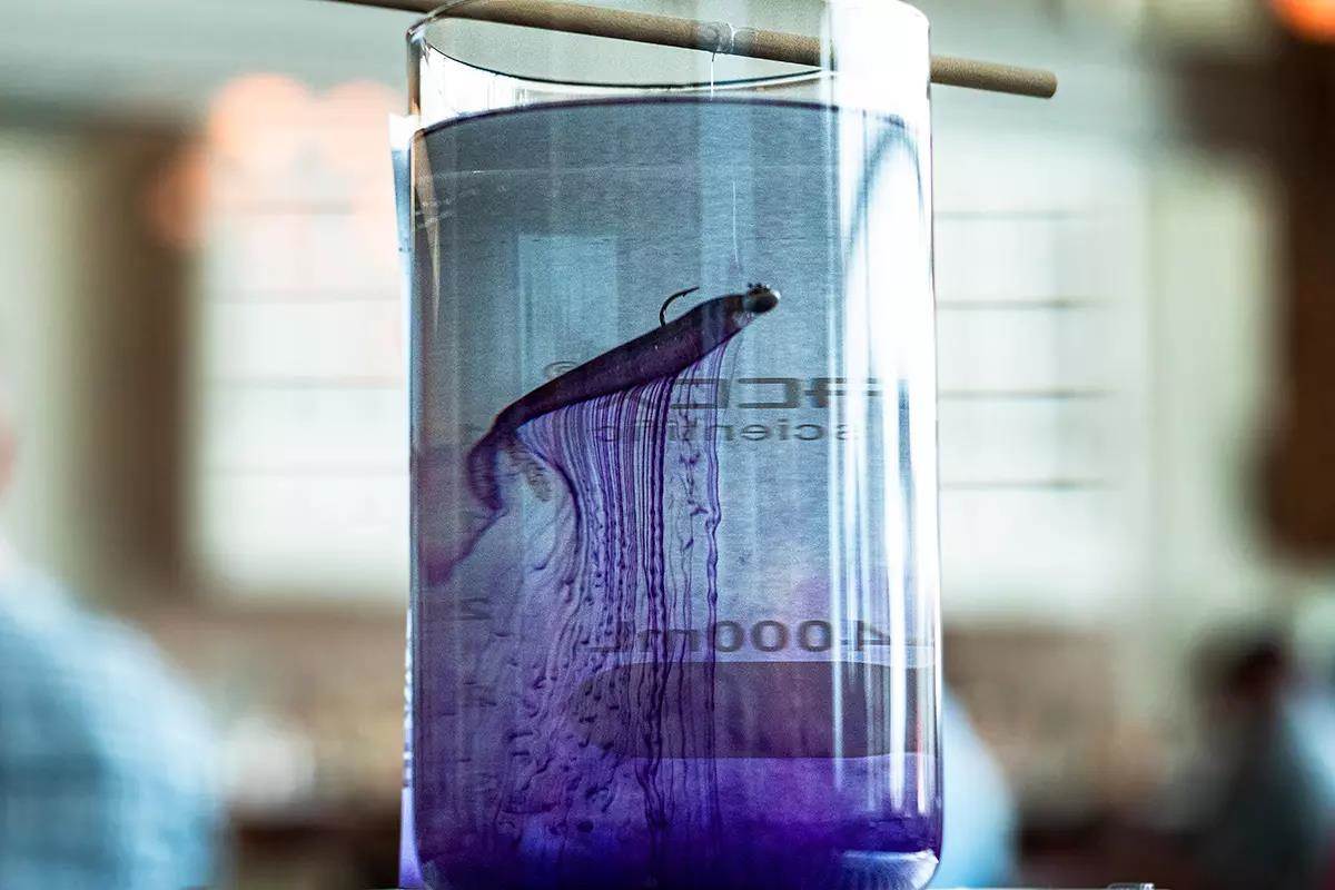 soft plastic lure in a lab beeker