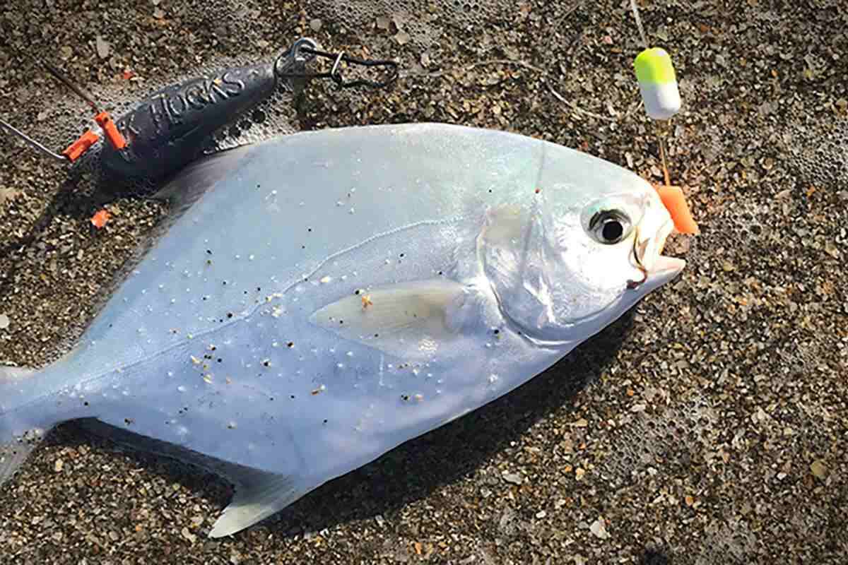 Best Baits & Rigs For Surf Fishing in Florida