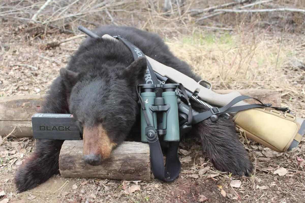 Best Big Guns for Big Black Bear Hunting