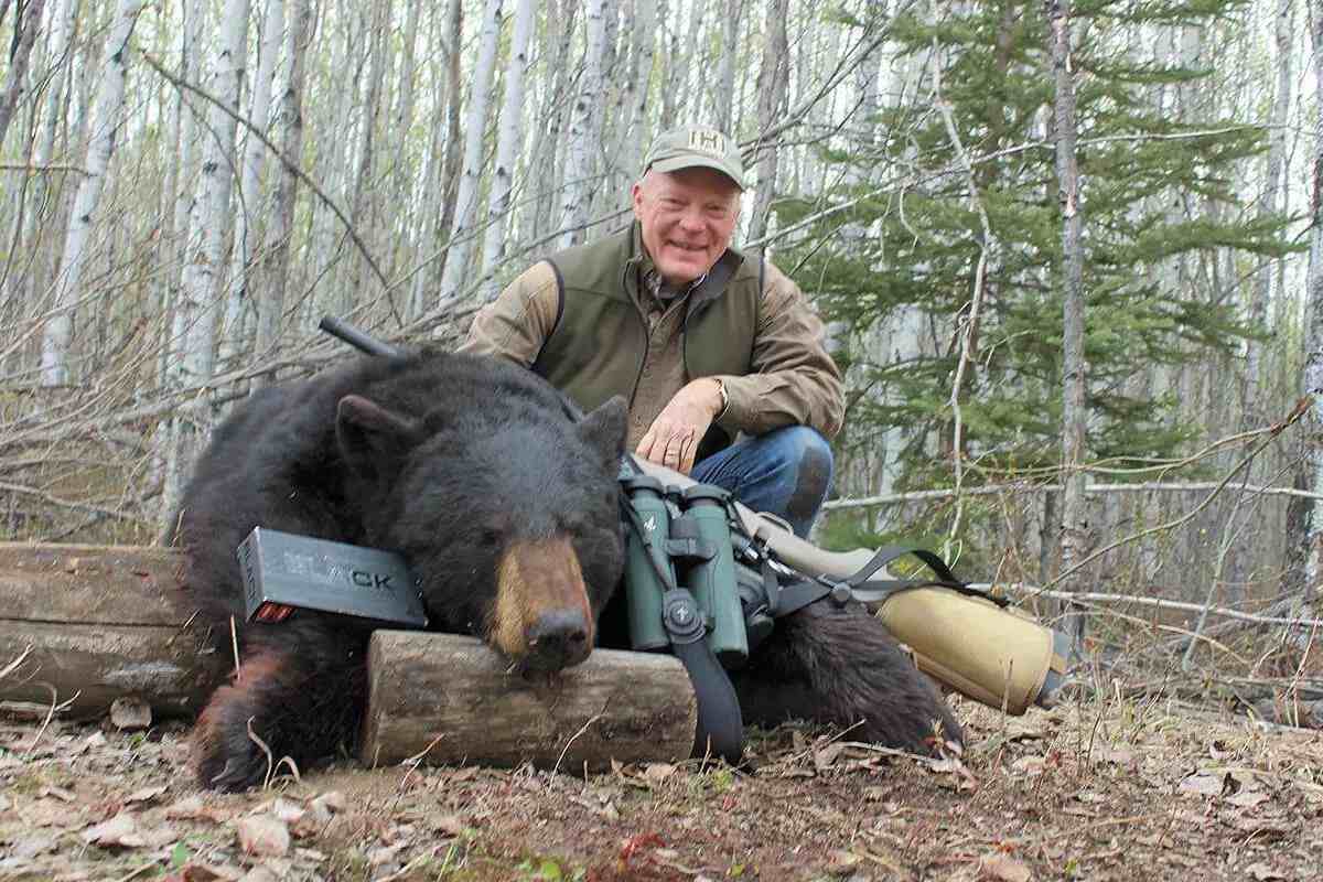 The Best Black Bear Hunting Cartridges: How to Choose