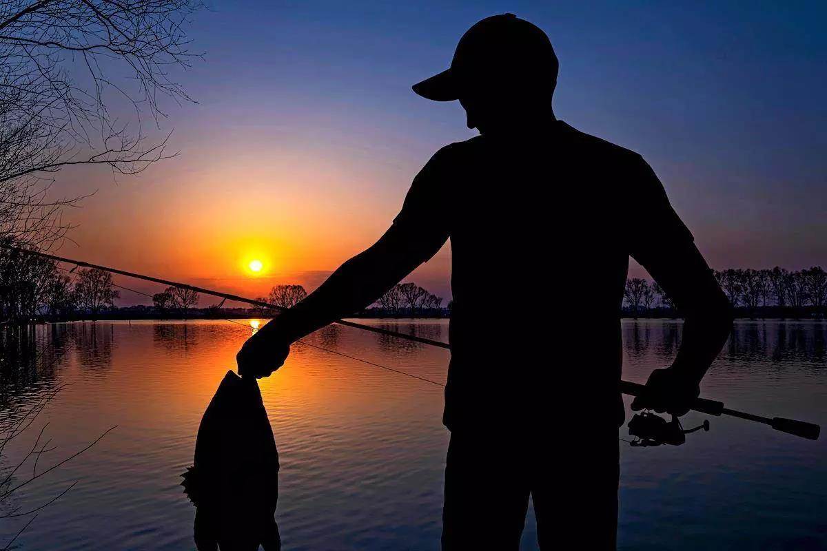 Best of 2023: Most Popular Bass-Fishing Stories on Game & Fish