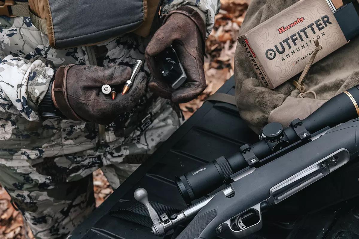 Bobcats, the Masters of Camouflage > Appalachian Voices