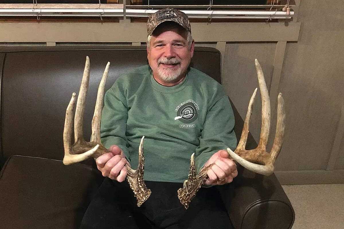 whitetail buck sheds