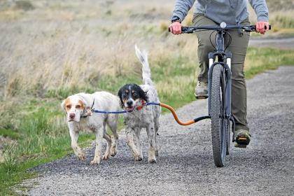 Bike Tow Leash Product Review