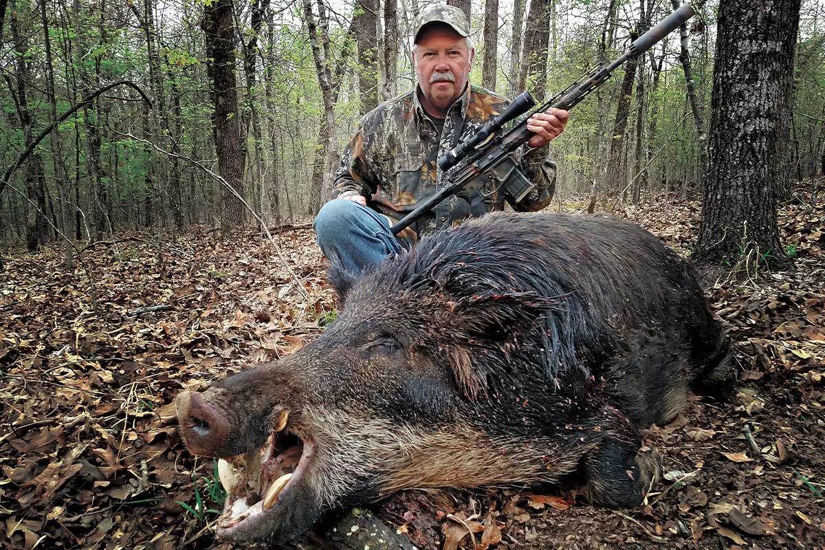 Bill Wilson's Hog Hunting Guide to Success: How To Hunt Pigs