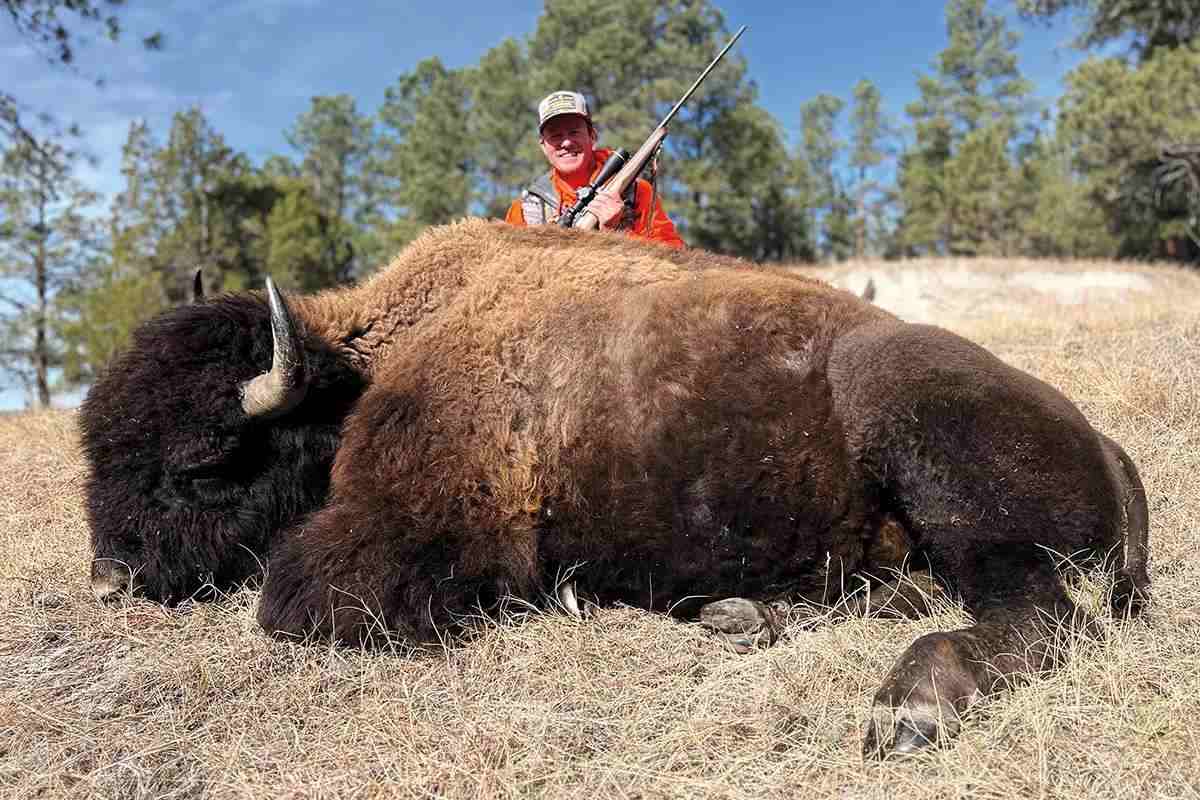 Bison Hunting in the Black Hills: Chasing an American Icon