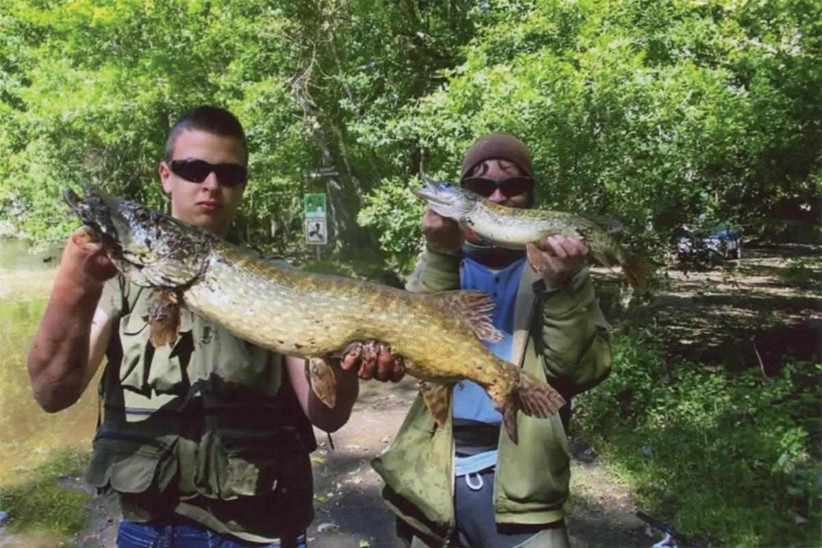 Two fishermen on a wooded stream holding Aquitanian pike. 