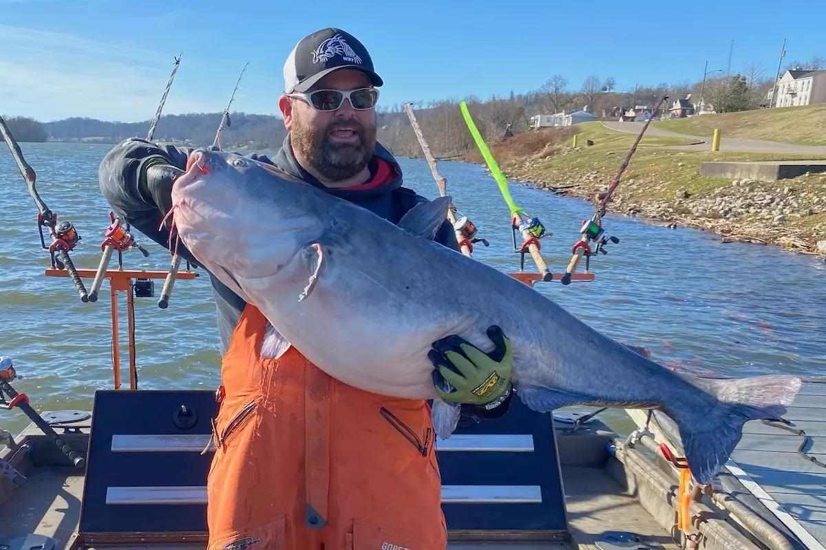 Blue Catfish Record Broken for 4th Consecutive Year