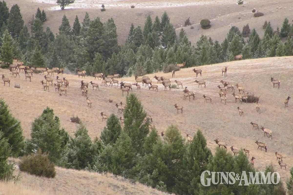 ga-bod-elk-cart-08-1200x800