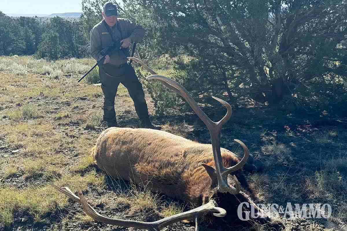 ga-bod-elk-cart-09-1200x800