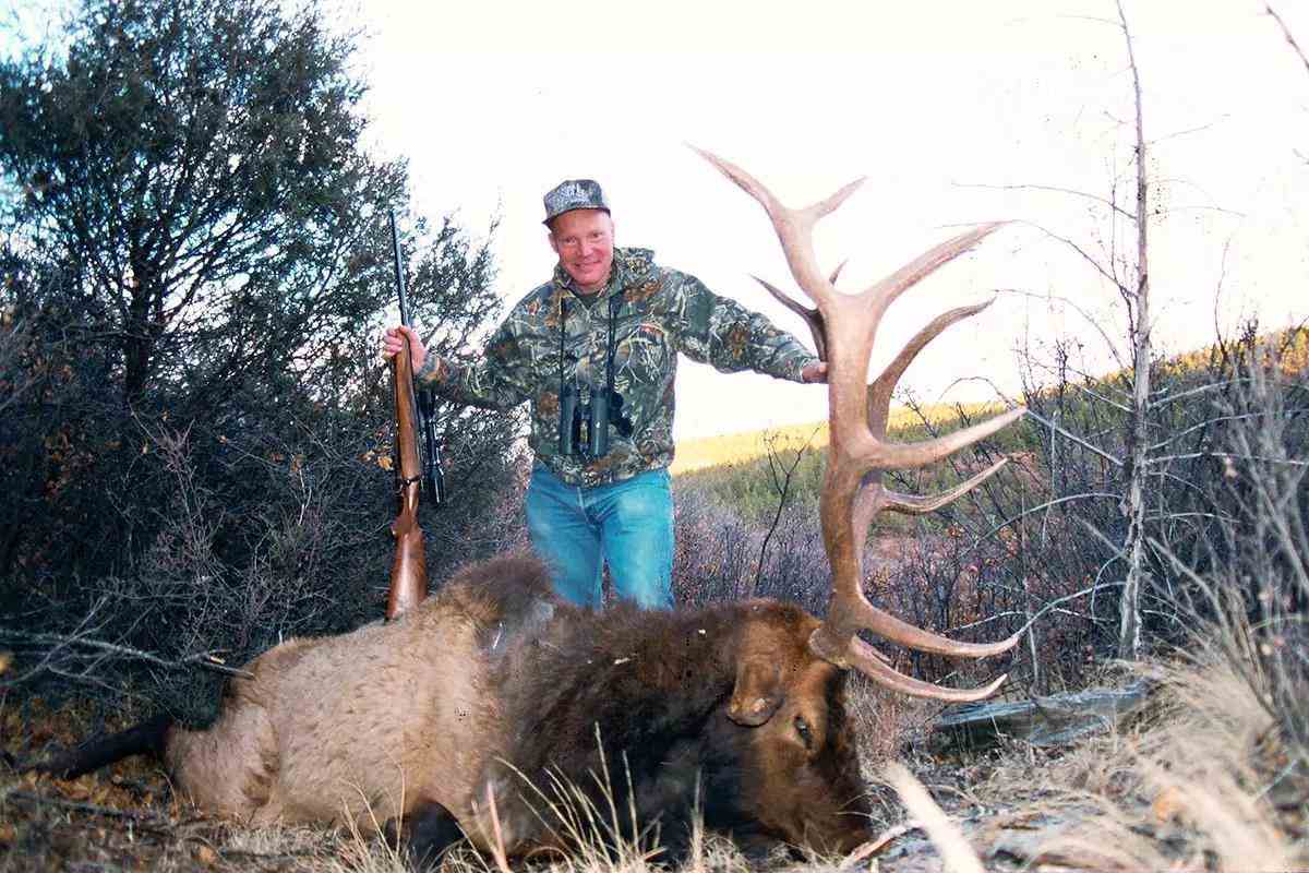 ga-bod-elk-cart-11-1200x800