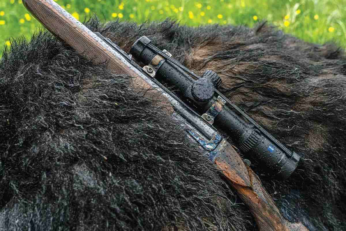 rifle laying on bear
